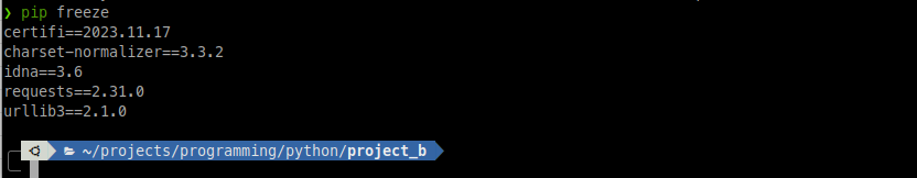 output pip freeze in venv for project_b