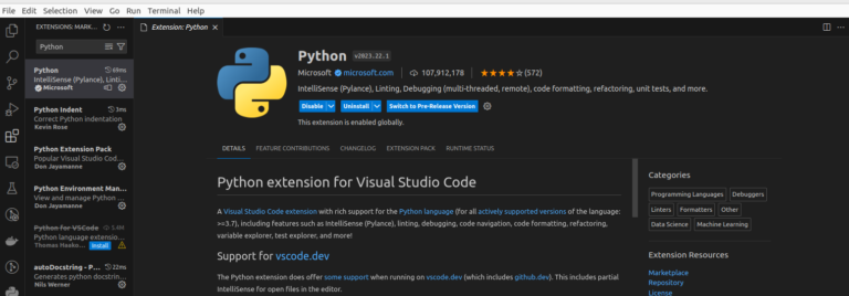 Visual Studio Code debugger for Python: how to use - TMS Developer Blog